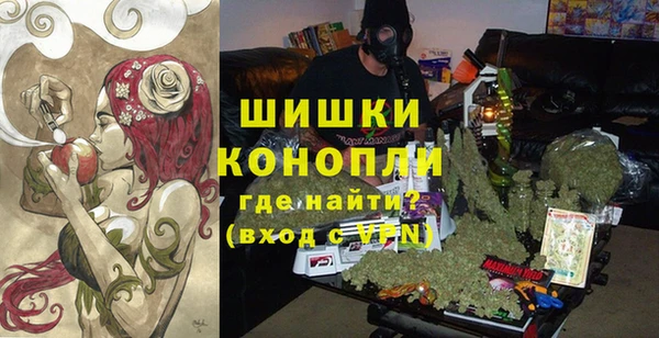 стаф Магадан