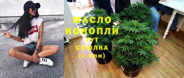 дмт Абаза