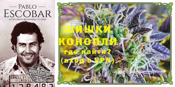 jwh Медногорск