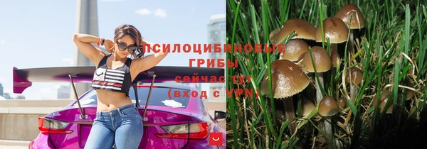 стаф Магадан