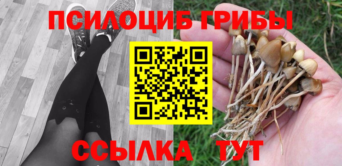 Сальск  Галлюциногенные грибы Psilocybe  Галлюциногенные грибы Magic Shrooms  Вход с VPN 